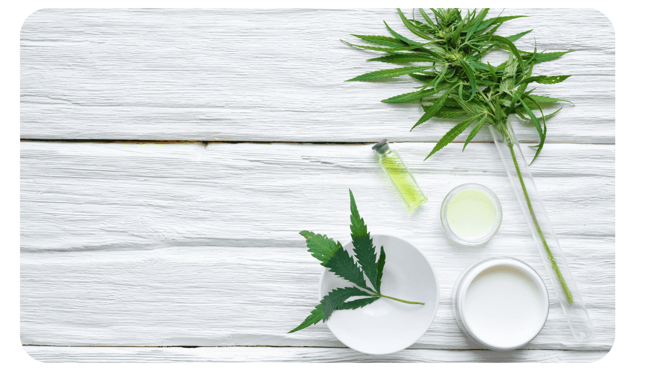 Cannabis Blätter und Extrakte auf einem weißem Holztisch